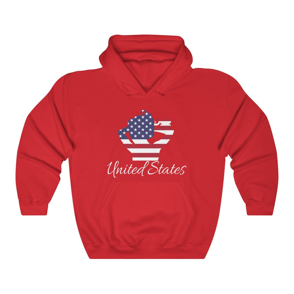 United States of America Lady Flag Hoodie Sweatshirt 2 - Unisex
