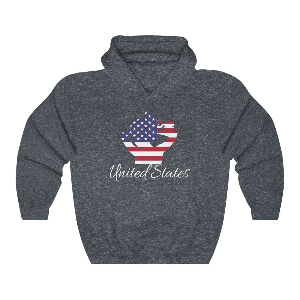 United States of America Lady Flag Hoodie Sweatshirt 2 - Unisex
