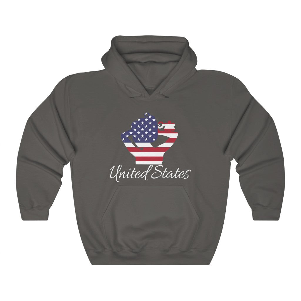 United States of America Lady Flag Hoodie Sweatshirt 2 - Unisex