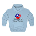 Republic of China - Taiwan Lady Flag Hoodie Sweatshirt 1 - Unisex