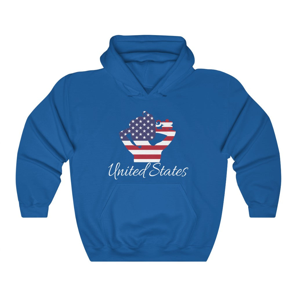 United States of America Lady Flag Hoodie Sweatshirt 2 - Unisex